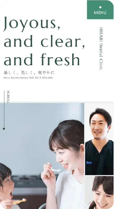 BSTの実績
