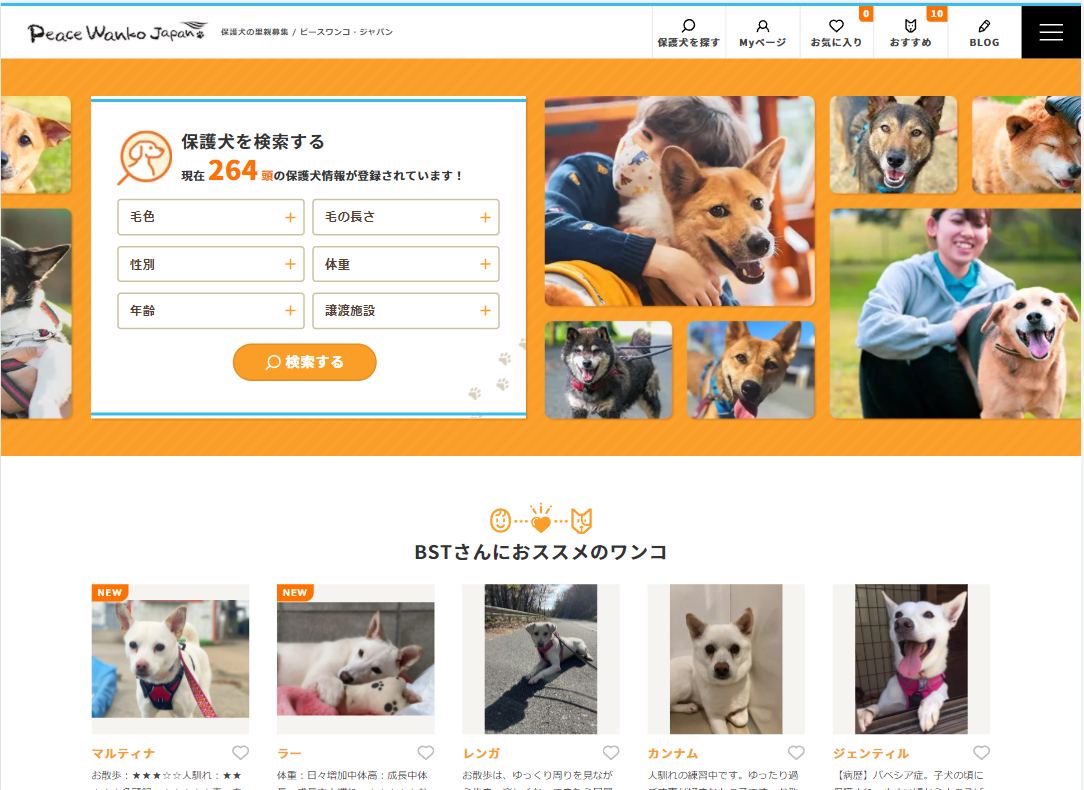 ピースワンコ ジャパン 保護犬里親募集サイト を公開いたしました 東京都 広島県福山市のweb制作会社 システム開発会社 Bst